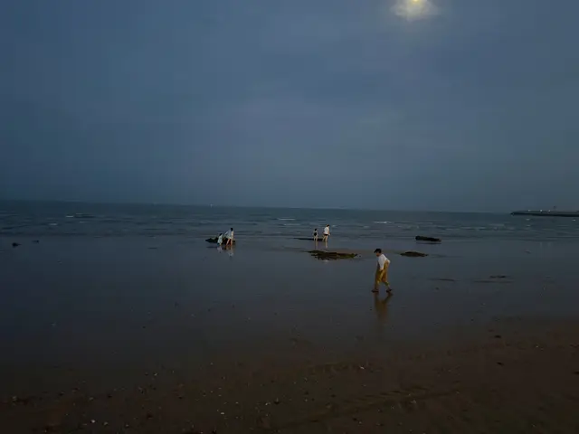 认真拍摄🎬